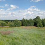 Деревня Зубакино