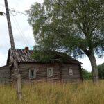 Деревня Зубакино