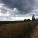 Деревня Зубакино