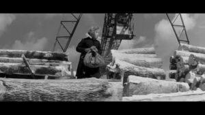 Кадр из фильма "Девчата" Кадр из фильма "Девчата", бревна, дрова