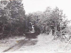 Дорога в деревне Заозерье (фото советского периода). Дорога в деревне Заозерье (фото советского периода).