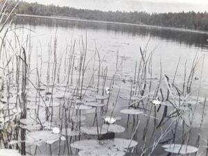 Озеро Карачунское (в простонародии Заозерское). Озеро Карачунское (в простонародии Заозерское).
