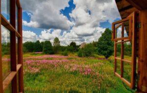 Луг в деревне Луг в деревне