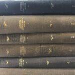 Птицы Советского Союза