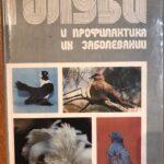 Голубеводство