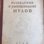 Разведение мулов