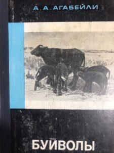 Буйволы Буйволы