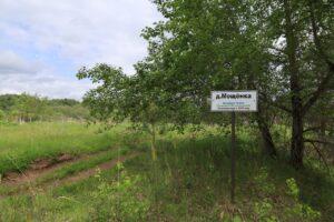 Мощёнка Мощёнка