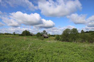 Семёновское Семёновское