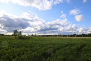 Замошье Деревня Замошье