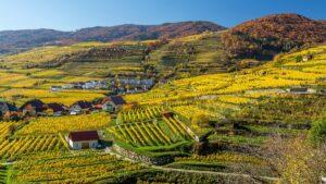 Поля в Австрии Поля в Австрии