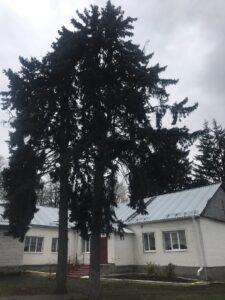 Винниковская школа. Дом Надежды Плевицкой Винниковская школа. Дом Надежды Плевицкой