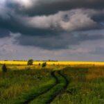 Куликово поле