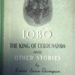 Рассказы Сетона-Томпсона