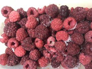 Малина Малина