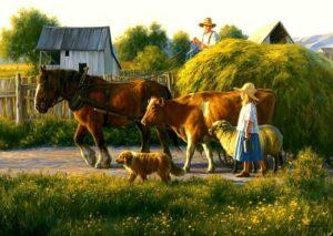 Животные в деревне Животные в деревне