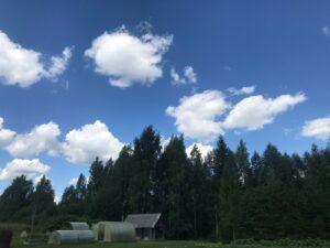 Вёдро Вёдро