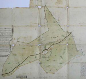 План церковной земли Троицкой Ругуйской пустыни План церковной земли Троицкой Ругуйской пустыни.