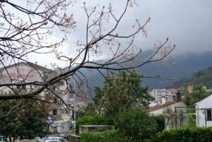 Дождь в Черногории Дождь в Черногории