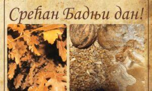 Молодой дуб Молодой дуб