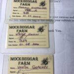 Поездка в Англию, документы