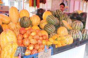 Дыни и арбузы Дыни и арбузы