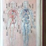 Самая необычная книга на японском языке