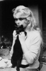 Брижит Бардо с кошкой Брижит Бардо с кошкой